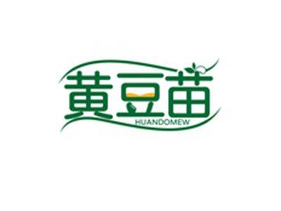 黄豆苗HUANDOMEW