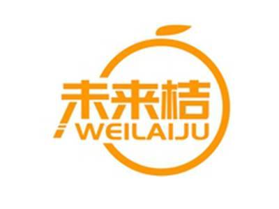 未来桔WEILAIJU