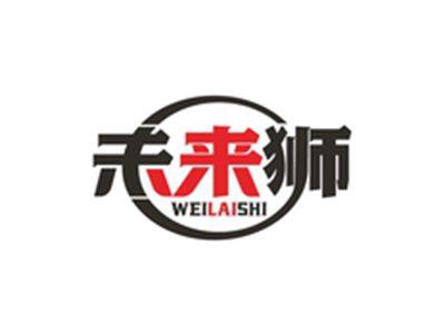 未来狮WEILAISHI