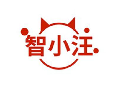 智小汪