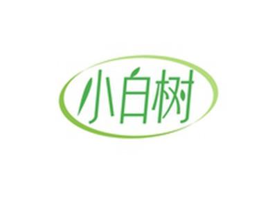 小白树