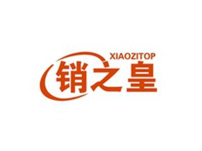 销之皇XIAOZITOP