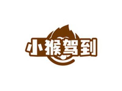 小猴驾到