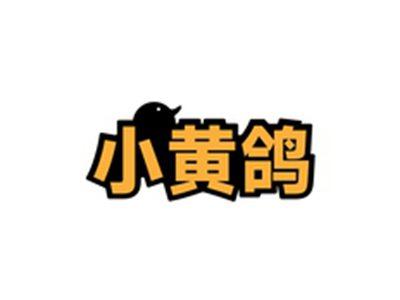 小黄鸽
