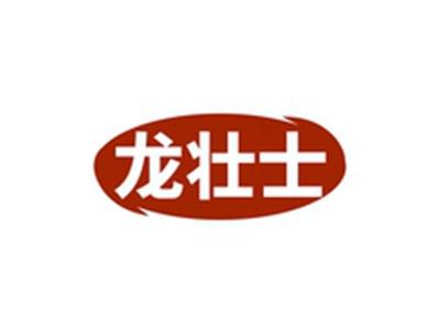 龙壮士