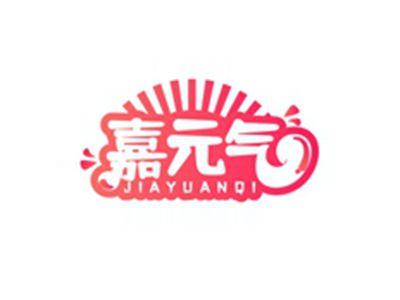 嘉元气JIAYUANQI