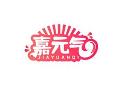 嘉元气JIAYUANQI