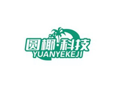 圆椰科技YUANYEKEJI