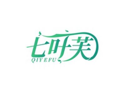 七叶芙QIYEFU