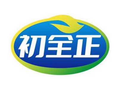 初全正