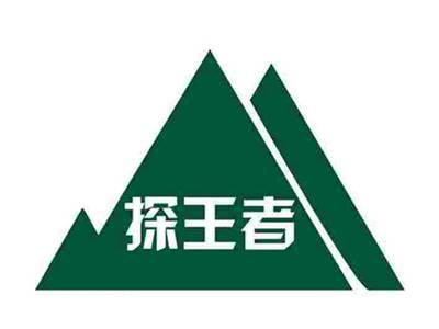 探王者