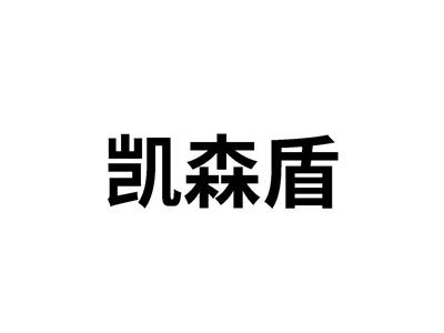 凯森盾
