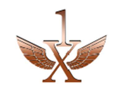 1X