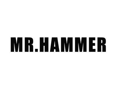 MR.HAMMER