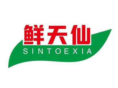 鲜天仙SINTOEXIA